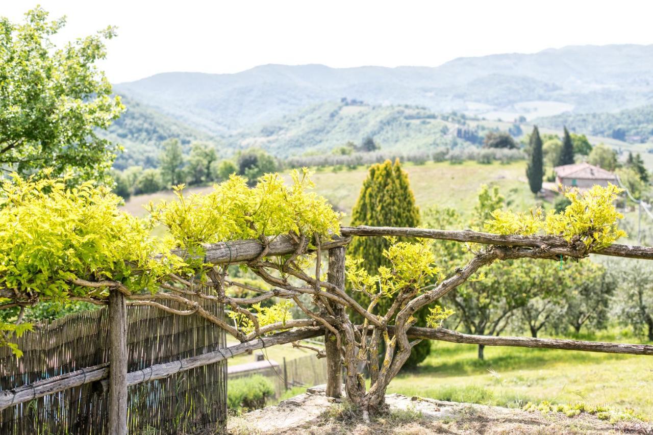 Agriturismo La Sala Greve in Chianti Eksteriør billede
