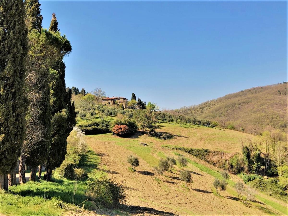 Agriturismo La Sala Greve in Chianti Eksteriør billede